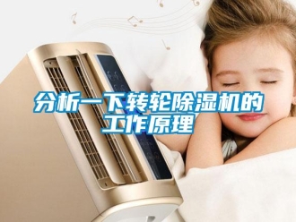 常見問題分析一下轉(zhuǎn)輪除濕機(jī)的工作原理
