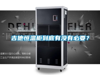 知識(shí)百科吉他恒溫柜到底有沒有必要？