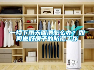 常見問題一樓下雨天回潮怎么辦？如何做好房子的防潮工作
