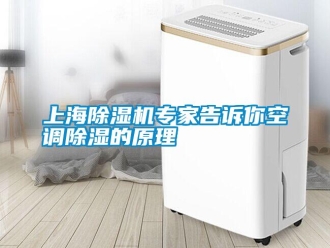 知識百科上海除濕機專家告訴你空調除濕的原理