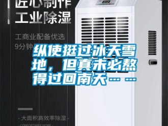 知識百科縱使挺過冰天雪地，但真未必熬得過回南天……