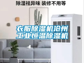 常見問題衣服除濕機滄州工業恒溫除濕機