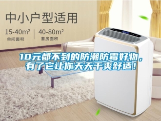 企業新聞10元都不到的防潮防霉好物，有了它讓你天天干爽舒適！