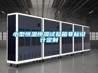 知識百科小型恒溫恒濕試驗箱非標設(shè)計定制