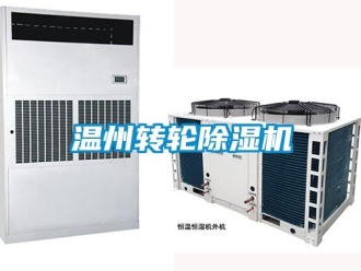 常見問題溫州轉輪除濕機