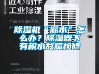 企業新聞除濕機“漏水”怎么辦？除濕器下有積水故障檢修