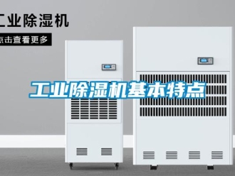 企業(yè)新聞工業(yè)除濕機基本特點