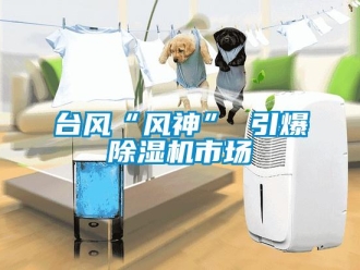 知識百科臺風(fēng)“風(fēng)神” 引爆除濕機(jī)市場