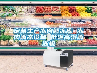 常見問題定制生產凍肉解凍庫 凍肉解凍設備 低溫高濕解凍機