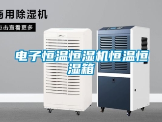 知識(shí)百科電子恒溫恒濕機(jī)恒溫恒濕箱