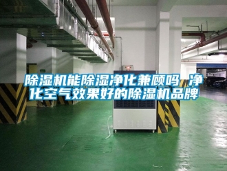 企業新聞除濕機能除濕凈化兼顧嗎 凈化空氣效果好的除濕機品牌
