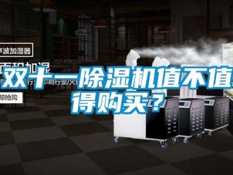知識百科雙十一除濕機值不值得購買？