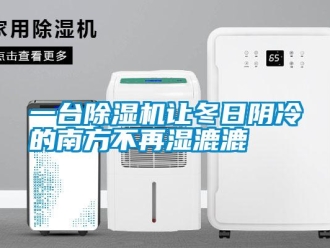 知識百科一臺除濕機讓冬日陰冷的南方不再濕漉漉