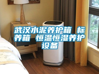 知識百科武漢水泥養護箱 標養箱 恒溫恒濕養護設備