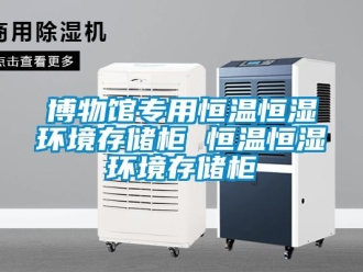 知識(shí)百科博物館專用恒溫恒濕環(huán)境存儲(chǔ)柜 恒溫恒濕環(huán)境存儲(chǔ)柜
