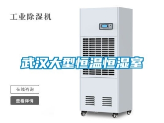 知識百科武漢大型恒溫恒濕室