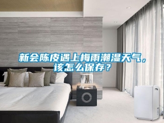 常見問題新會陳皮遇上梅雨潮濕天氣，該怎么保存？