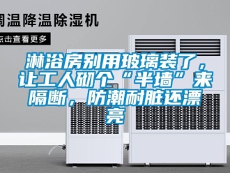 常見問題淋浴房別用玻璃裝了，讓工人砌個“半墻”來隔斷，防潮耐臟還漂亮