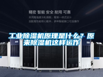常見問題工業除濕機原理是什么？原來除濕機這樣運作
