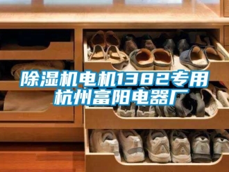 企業新聞除濕機電機1382專用 杭州富陽電器廠