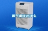 濕氣重該吃什么