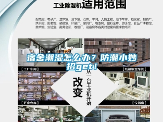 常見問題宿舍潮濕怎么辦？防潮小妙招get！