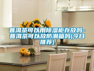 常見問題普洱茶可以用除濕柜存放嗎-普洱茶可以放防潮箱嗎(今日推薦)