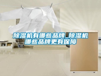 企業(yè)新聞除濕機(jī)有哪些品牌_除濕機(jī)哪些品牌更有保障