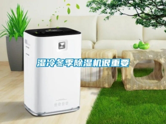 知識百科濕冷冬季除濕機很重要