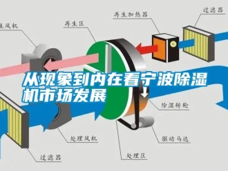 企業新聞從現象到內在看寧波除濕機市場發展