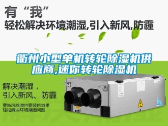 常見問題衢州小型單機轉輪除濕機供應商,迷你轉輪除濕機