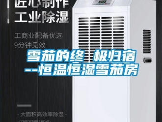 知識百科雪茄的終 極歸宿--恒溫恒濕雪茄房