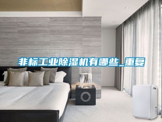 常見問題非標(biāo)工業(yè)除濕機有哪些_重復(fù)
