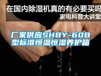 知識百科廠家供應SHBY-60B型標準恒溫恒濕養護箱