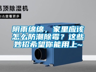 常見問題陰雨綿綿，家里應(yīng)該怎么防潮除霉？這些妙招希望你能用上~