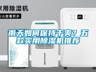 行業(yè)新聞雨天如何保持干爽？五款實用除濕機推薦