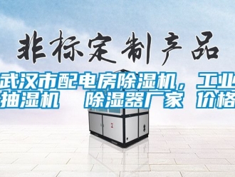 企業新聞武漢市配電房除濕機，工業抽濕機  除濕器廠家 價格
