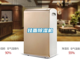 企業(yè)新聞掛面除濕機