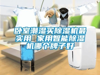 常見(jiàn)問(wèn)題臥室潮濕買(mǎi)除濕機(jī)最實(shí)用 家用智能除濕機(jī)哪個(gè)牌子好