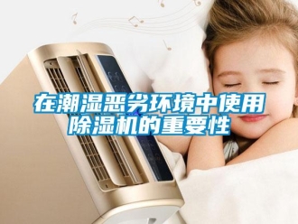 知識百科在潮濕惡劣環境中使用除濕機的重要性