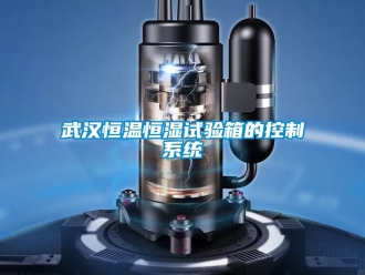 知識百科武漢恒溫恒濕試驗箱的控制系統