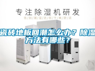 企業(yè)新聞瓷磚地板回潮怎么辦？除濕方法有哪些？