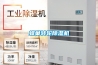 蜂巢轉輪除濕機