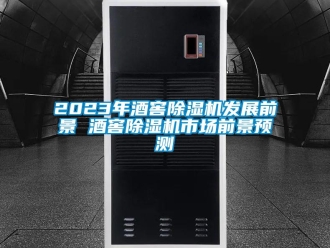 企業(yè)新聞2023年酒窖除濕機(jī)發(fā)展前景 酒窖除濕機(jī)市場前景預(yù)測