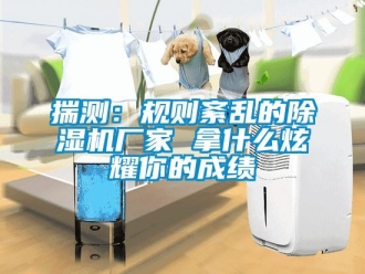 企業(yè)新聞揣測：規(guī)則紊亂的除濕機廠家 拿什么炫耀你的成績