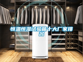 知識百科恒溫恒濕試驗箱十大廠家排名