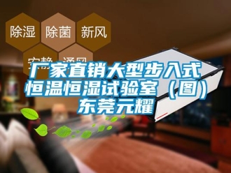 知識百科廠家直銷大型步入式恒溫恒濕試驗室（圖）東莞元耀