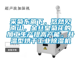 企業新聞采菊東籬下，悠然見南山，金絲皇菊花的加工生產提高產能，升溫型烘干工業除濕機