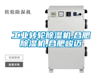 常見問題工業轉輪除濕機,合肥除濕機,合肥峻邁