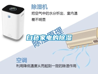 常見問題白色家電的除濕